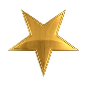 Gold Star 14